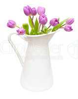 Tulips in Pitcher