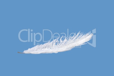 Feather with blue sky