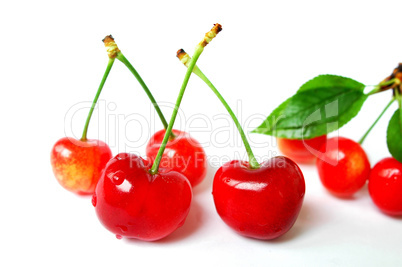 Cherry fruits