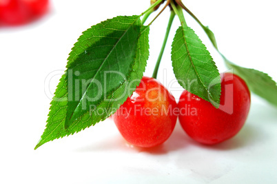 Cherry fruits