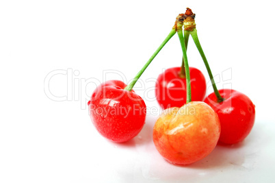 Cherry fruits