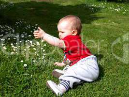 fröhliches Kleinkind spielt im Gras mit Gänseblümchen
