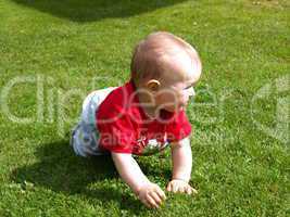 fröhliches Kleinkind krabbelt im Gras