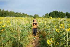 Morning jogging on sunflower field