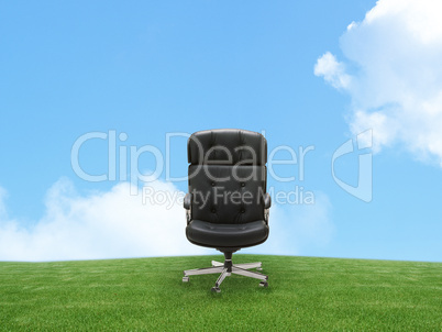 Outdoor armchair on green land