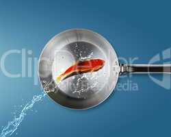 Golden fish jumping to frying pan