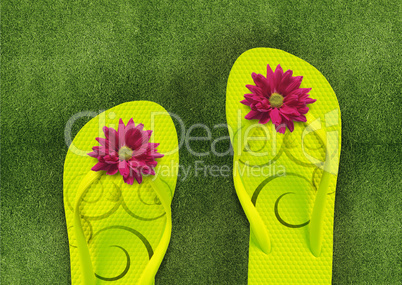 Colorful Flip Flops on green grass