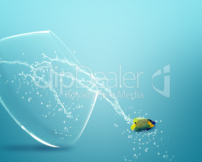 angelfish jumping out of  fishbowl