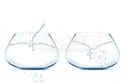 Empty Two fishbowls