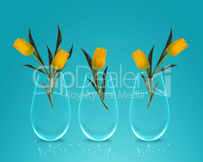 Three Yellow colorful Tulips