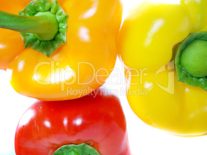 Bell pepper