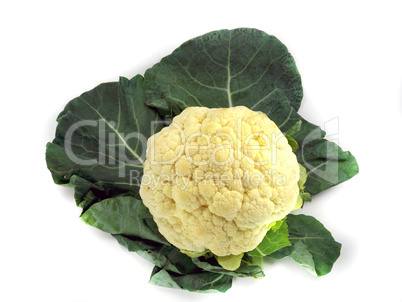 Cauliflower