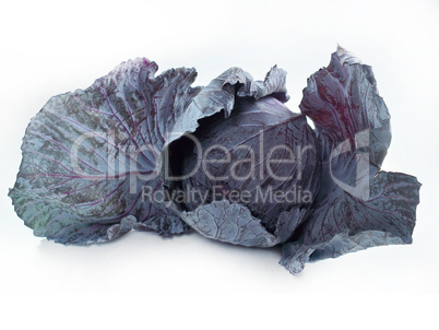 Red cabbage