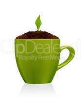 Young plant growing in green mug