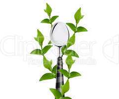 green leaves around Spoon