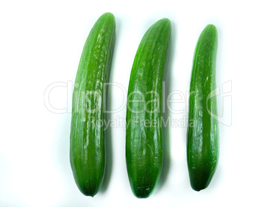 Cucumber