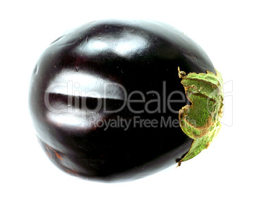 Fresh eggplant