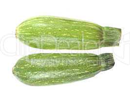 fresh zucchini fruits
