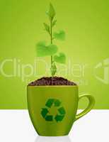 Young plant growing in green mug