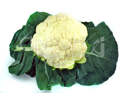 Cauliflower