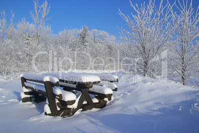 Wald im Winter - forest in winter 03