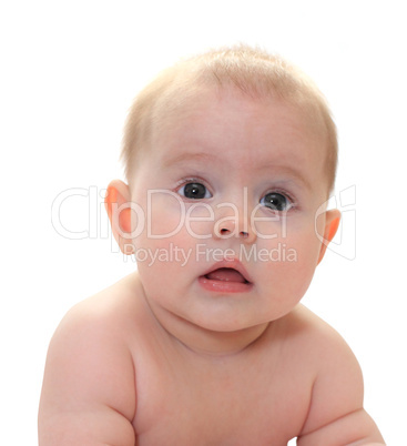 baby portrait