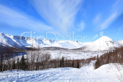 tundra landscape