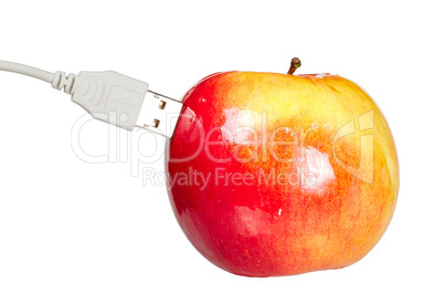 Red juicy fresh apple with USB isolated