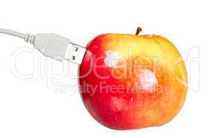 Red juicy fresh apple with USB isolated