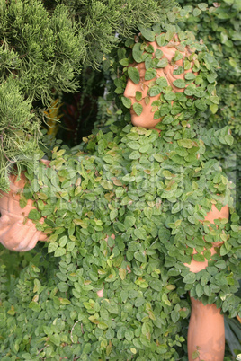 Sculpture & Leaves