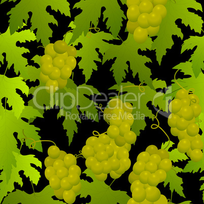 Grape seamless pattern