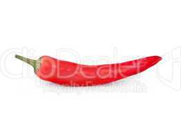 Chili pepper