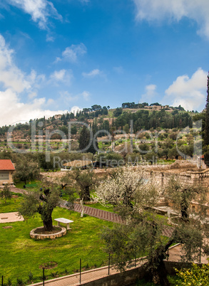 View of the Garden in Jerusalem, Israel