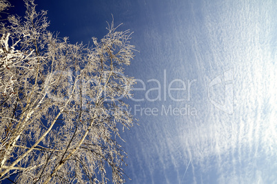 Frosty winter day