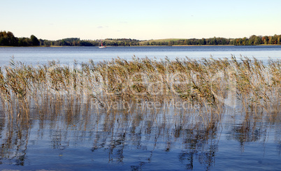 Lake. Early autumn