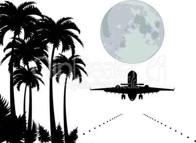 vector palms, moon and plane over runway