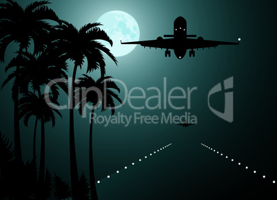 vector palms, moon and plane over runway