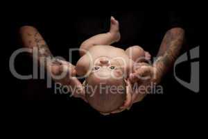 Hands of Father and Mother Hold Newborn Baby on Black