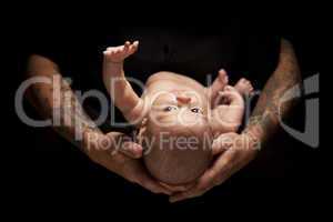 Hands of Father and Mother Hold Newborn Baby on Black