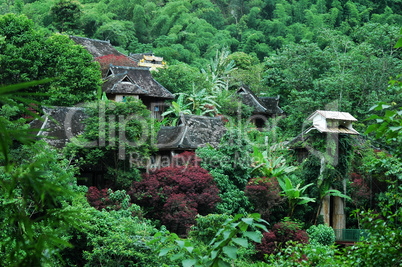 Tropic village