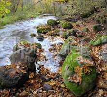 Panorama of a wild river in autumn