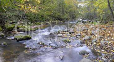 Panorama of a wild river in autumn