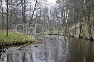 Wild river landscape in spring