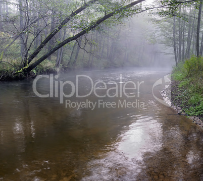 Panorama of a wild river in autumn