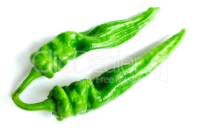 Green pepper