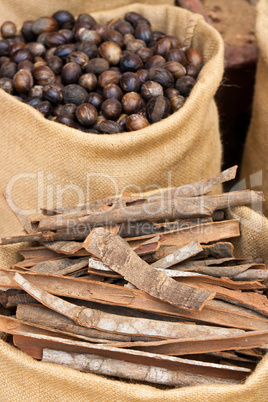 Zimtrinde und Muskatnuss in Kerala, Indien, Cinnamon and nutmeg
