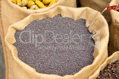 Schwarze Senfkörner in Kerala, Indien, Mustard seeds in Kerala,