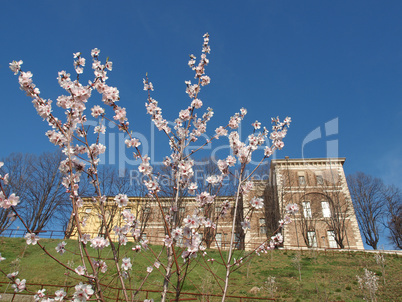 Castello di Rivoli, Italy