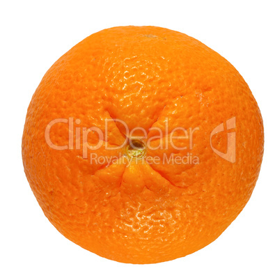 Orange fruit