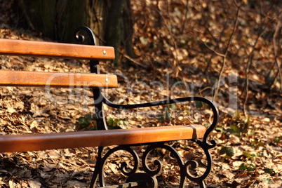 lonely bench in the park